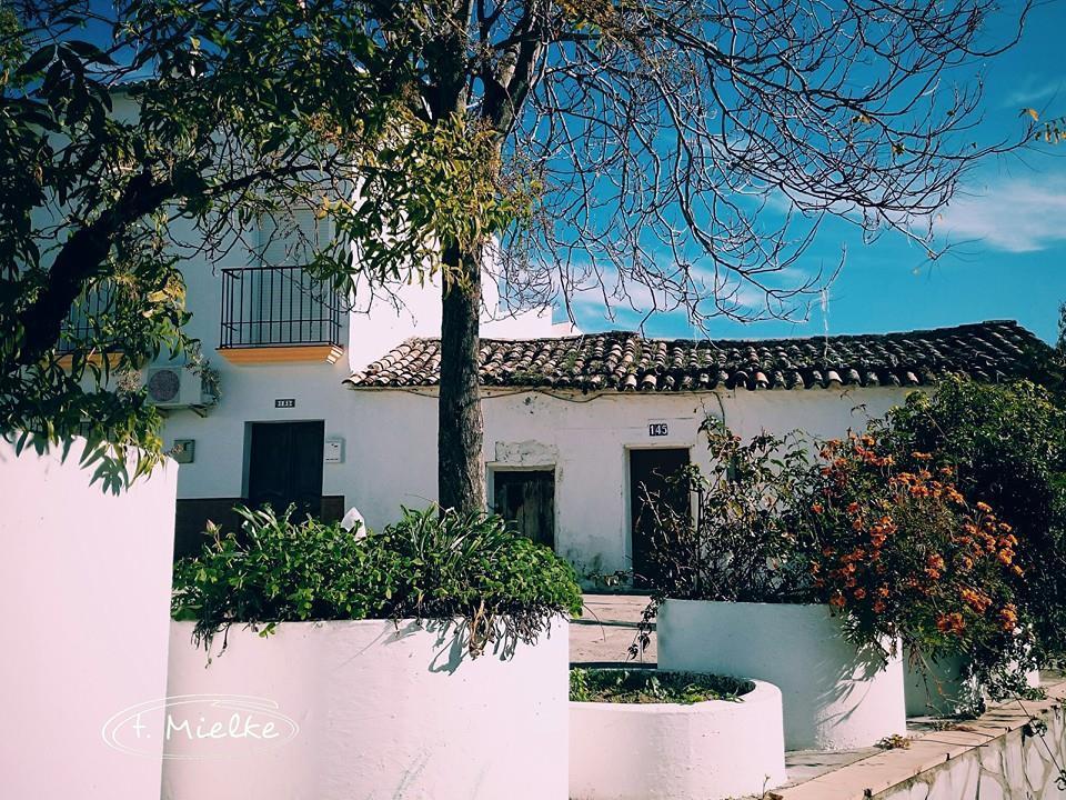 La Carrihuela Konuk evi Algodonales Dış mekan fotoğraf