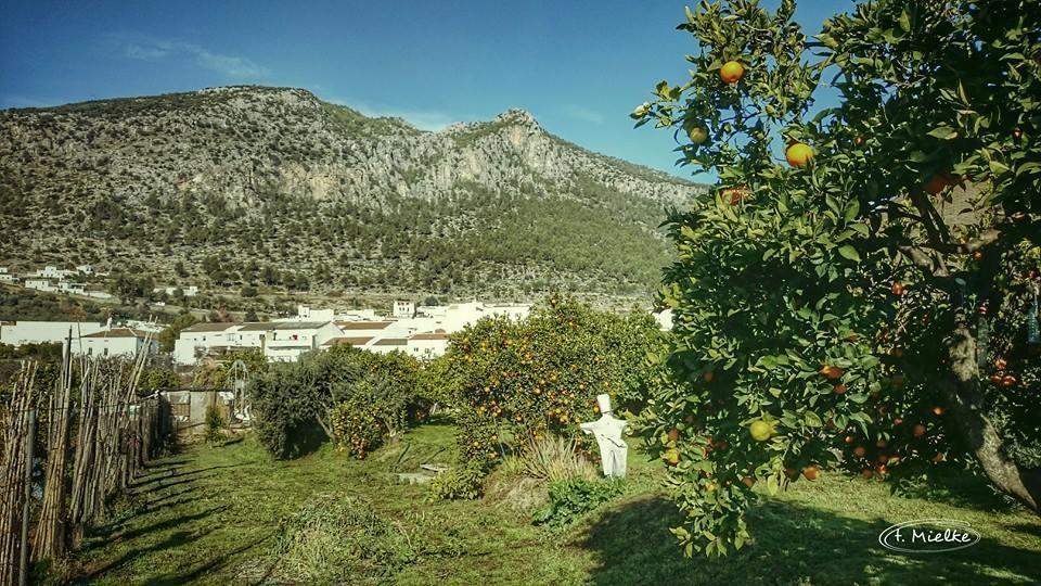 La Carrihuela Konuk evi Algodonales Dış mekan fotoğraf