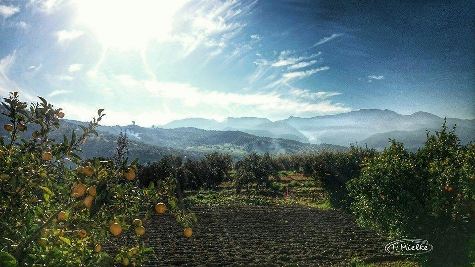 La Carrihuela Konuk evi Algodonales Dış mekan fotoğraf