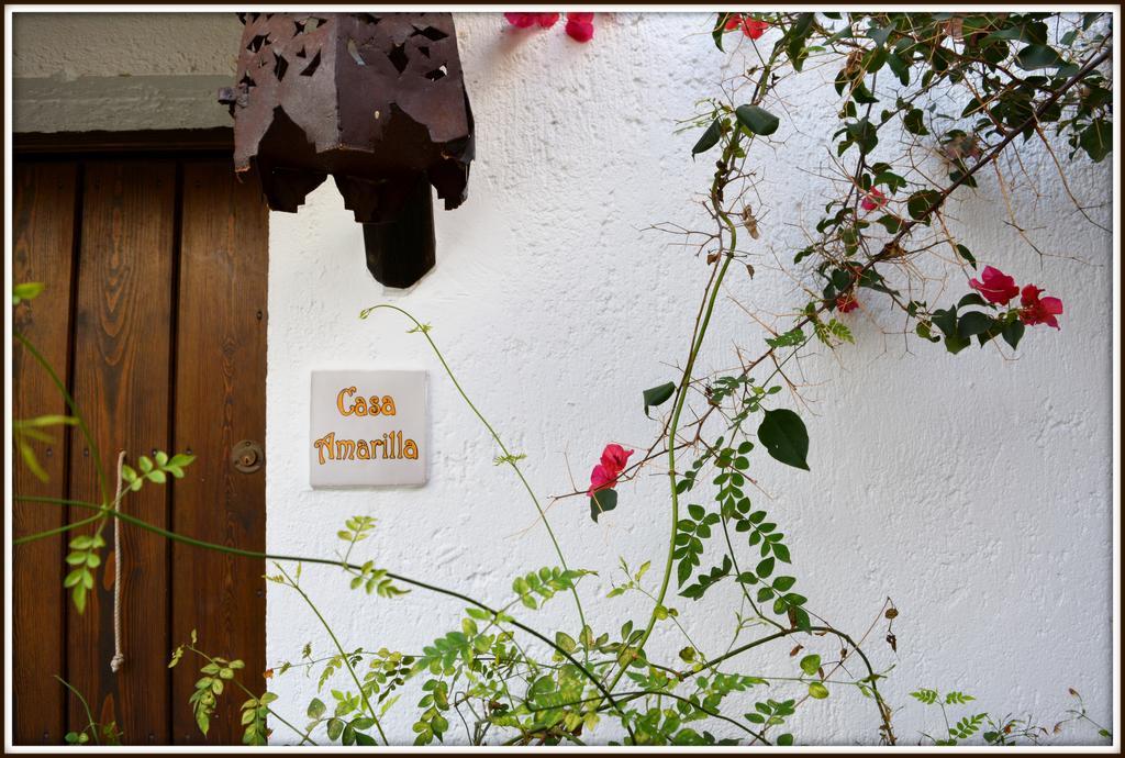 La Carrihuela Konuk evi Algodonales Dış mekan fotoğraf